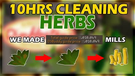 Clean herbs osrs - First is the fast EXP and expensive method, and the second is the profitable method of herb cleaning. All prices are based on GE prices on 10 August 2017. To start Herblore, you need to do the Druidic Ritual quest, which will give you 250 EXP. The faster method assumes around 1700 potions created per hour, which I feel is a very fair amount.